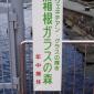 DSC00035