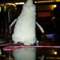 DSC03781