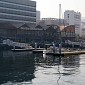 IMG_5229