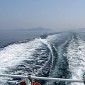 IMG_5256