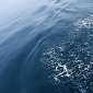 IMG_5264