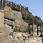 IMG_5279