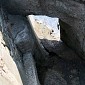 IMG_5294