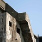 IMG_5303