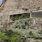 IMG_5315