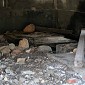 IMG_5316