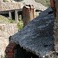 IMG_5317