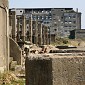 IMG_5318