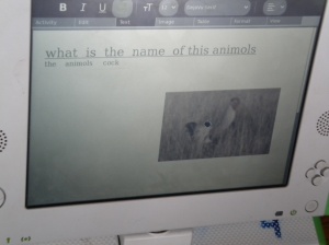 File:LEARNING IMPROVEMENT KAGUGU 1.jpg