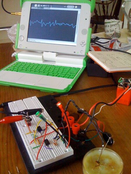 File:First spike.jpg