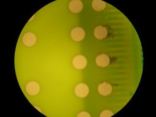 Keyboard top membrane