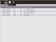 X Window interface screenshot