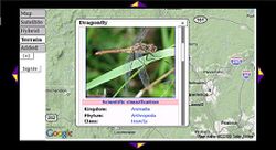 Embed Panoramio photos, Wikipedia articles