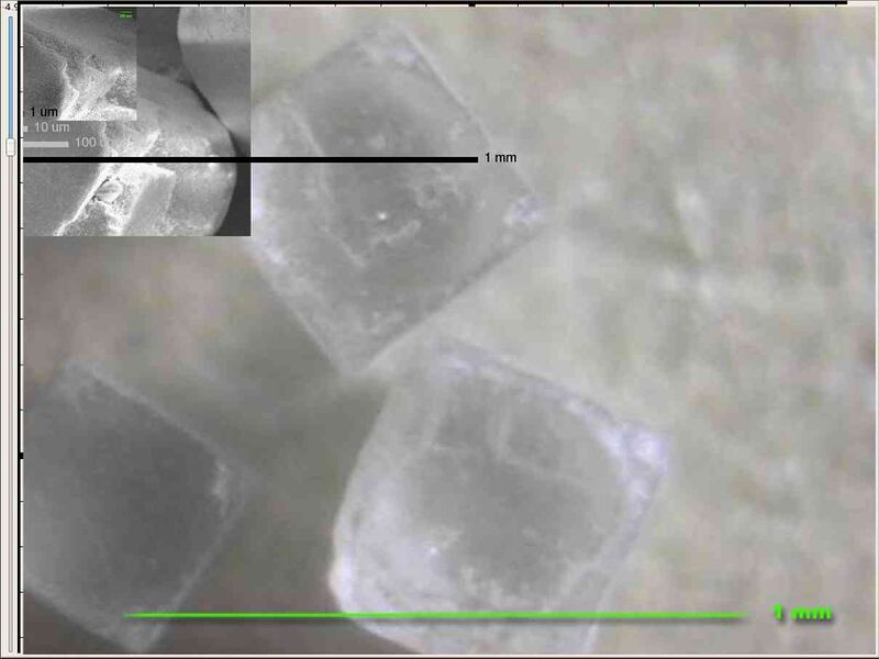 File:Activity howbig 02.jpg