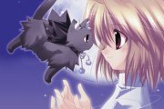 Tsukihime - Now in English!