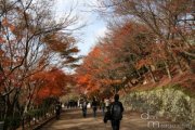 Kyoto