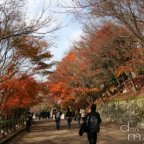 Kyoto